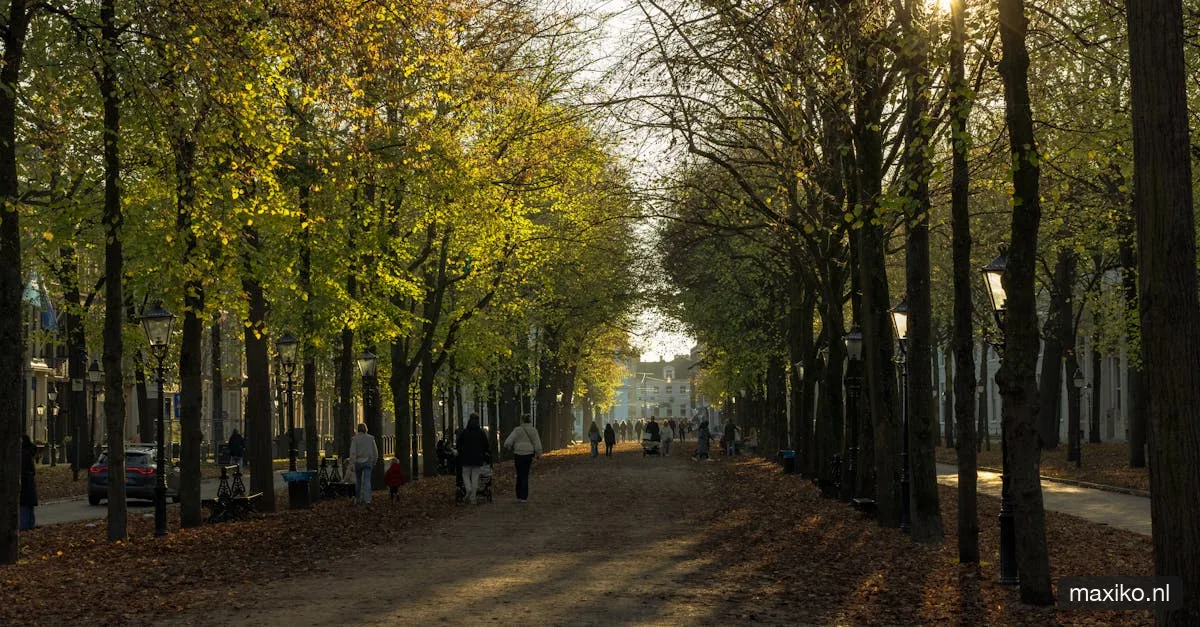 Kamerverhuur — omzettingsvergunning kamerverhuur 2026